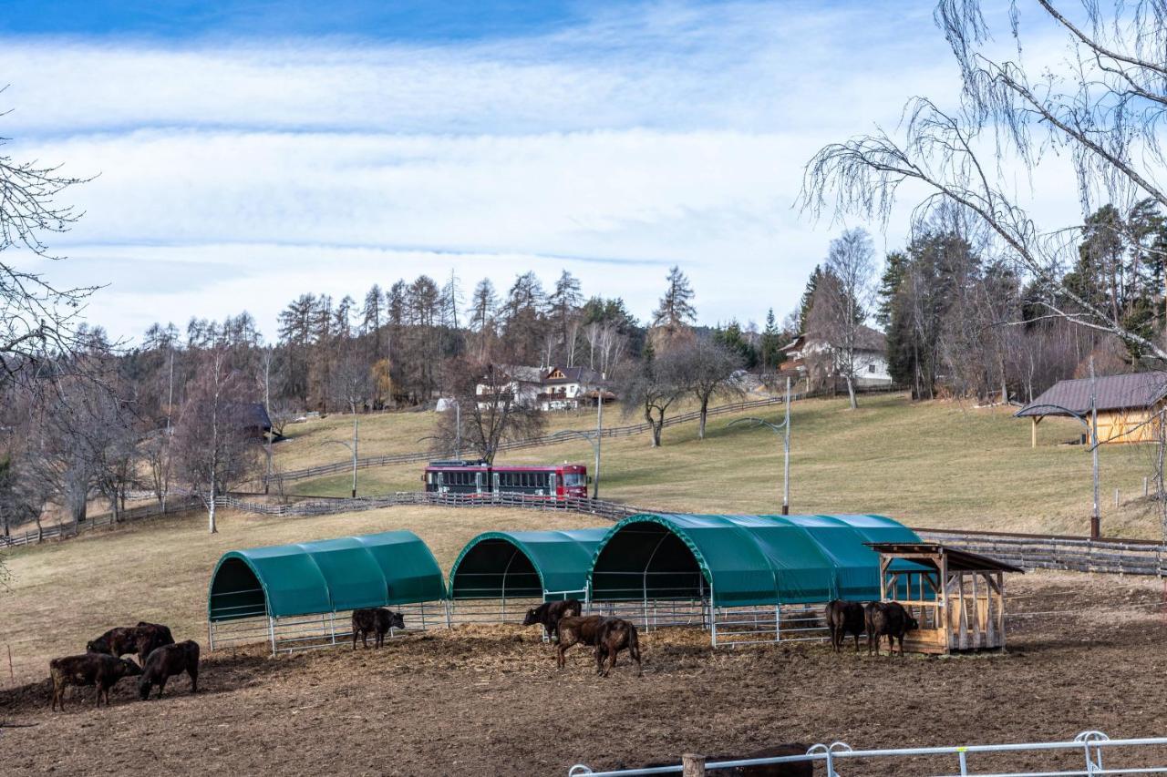 קוללבו Alpin Farm Birke - Oberweidacherhof מראה חיצוני תמונה